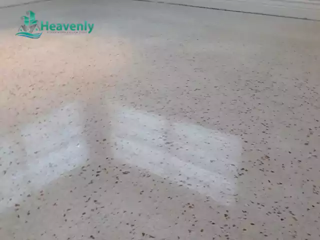 Terrazzo Floor Polishing Process